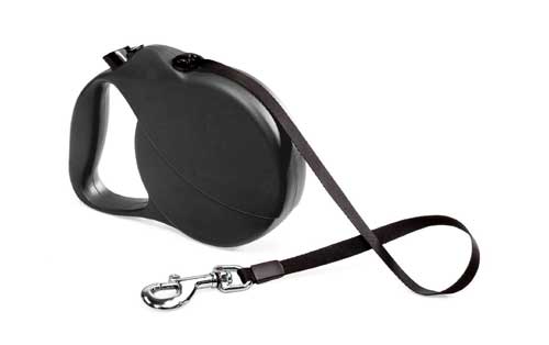 The Retractable Leash Debate