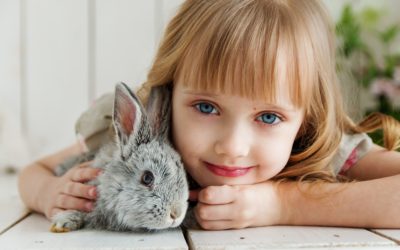 Fun Facts About Rabbits